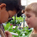 The Greenhouse Project Thumbnail